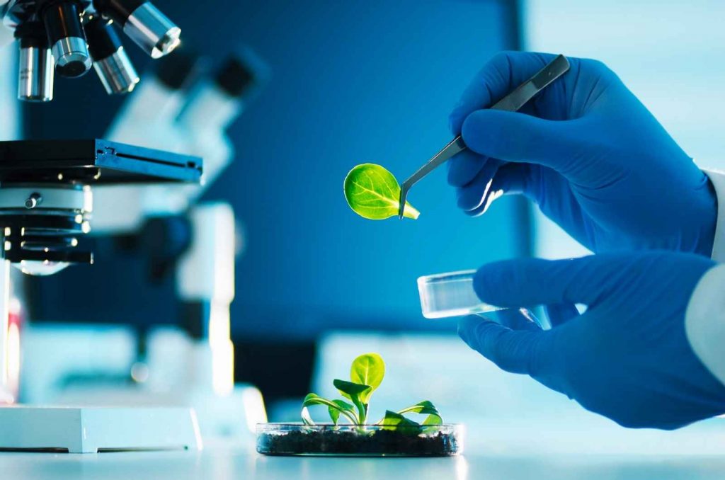 Biotechnology - Biotechfarm