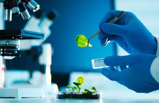 Biotechnology - Biotechfarm2